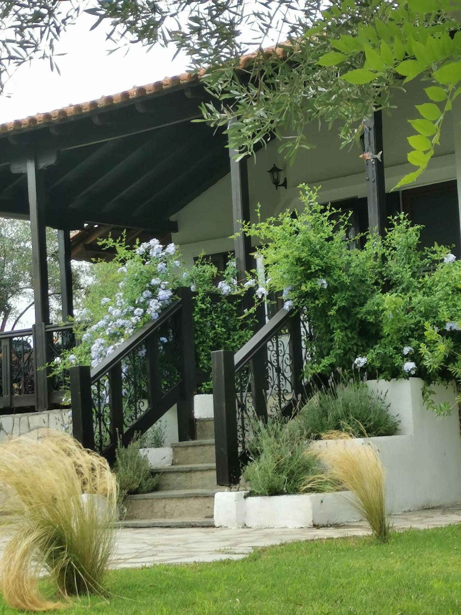 Villa Joy Ormos Panagias Buitenkant foto
