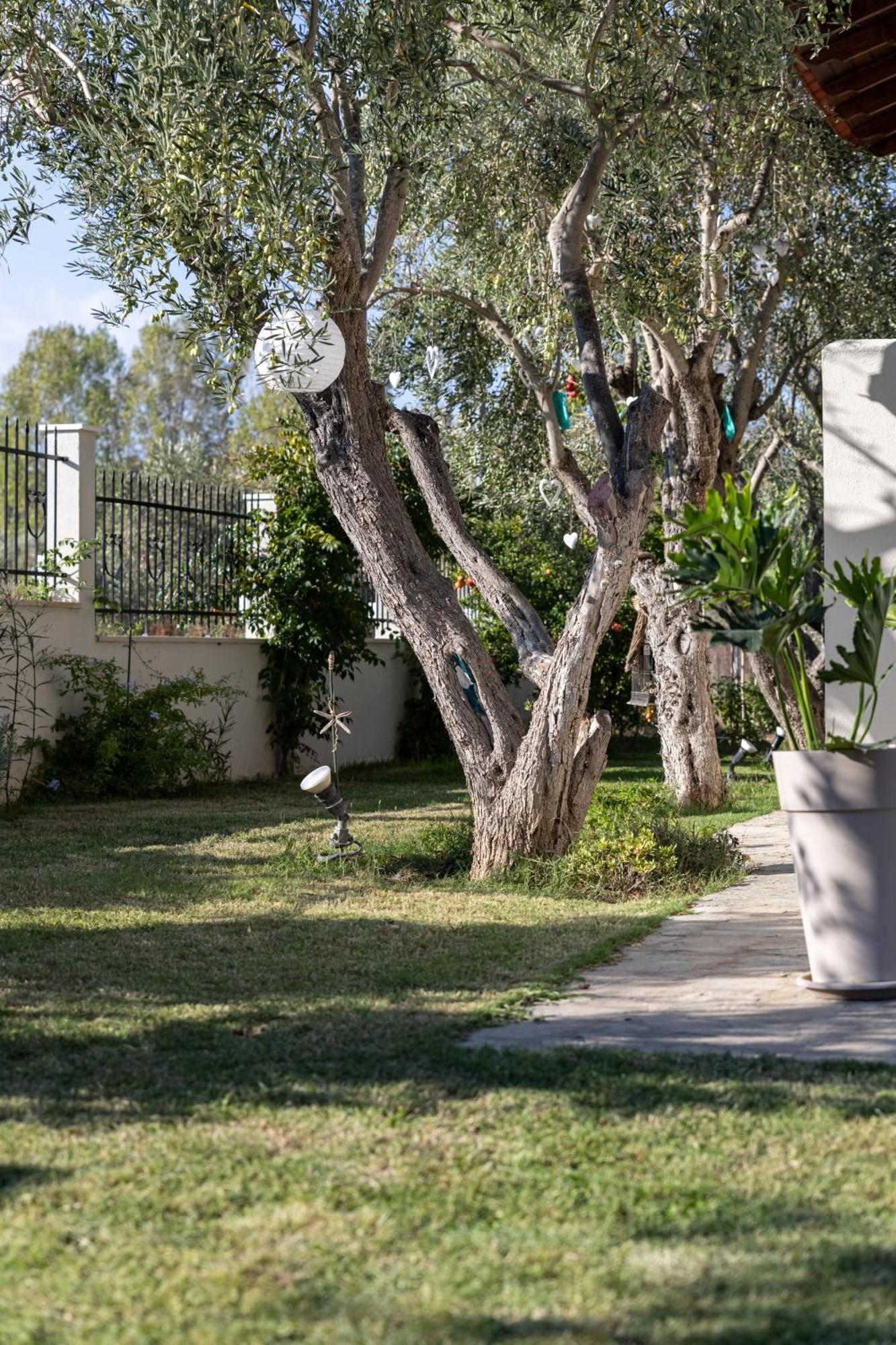 Villa Joy Ormos Panagias Buitenkant foto